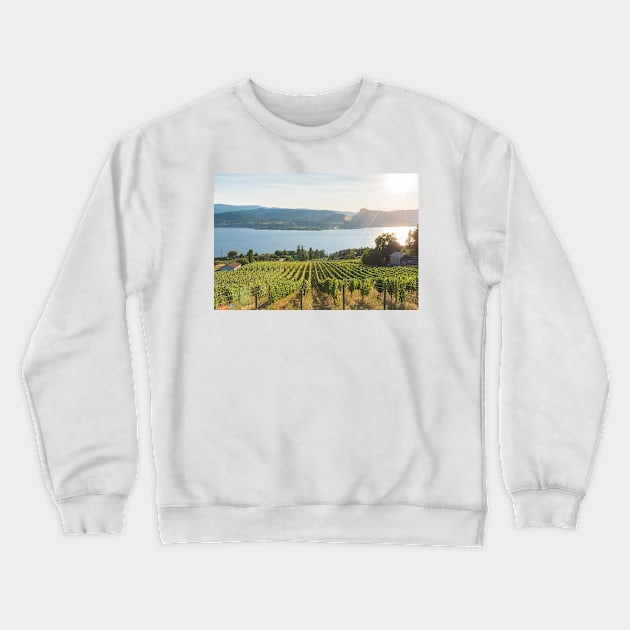 Okanagan Valley Vineyard View Crewneck Sweatshirt by Amy-K-Mitchell